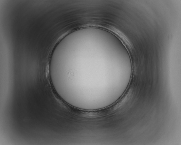 X0000102861241200808181019
