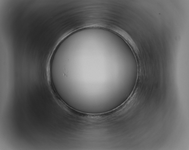 X0000102861242200808181019