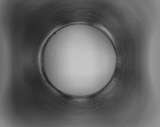 X0000102861243200808181019