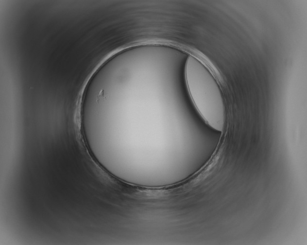 X0000102861244200808181019