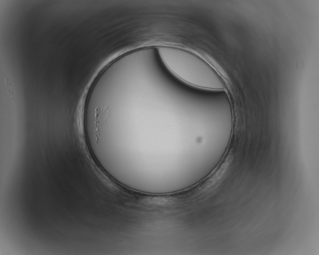 X0000102861246200808181019