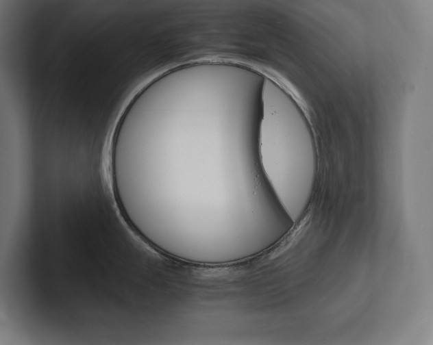 X0000102861247200808181019