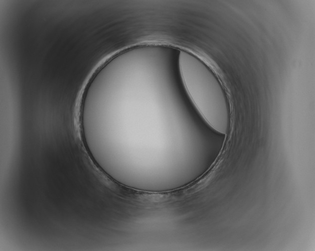 X0000102861248200808181019