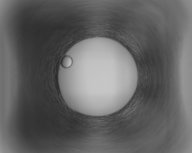 X0000102861249200808181018