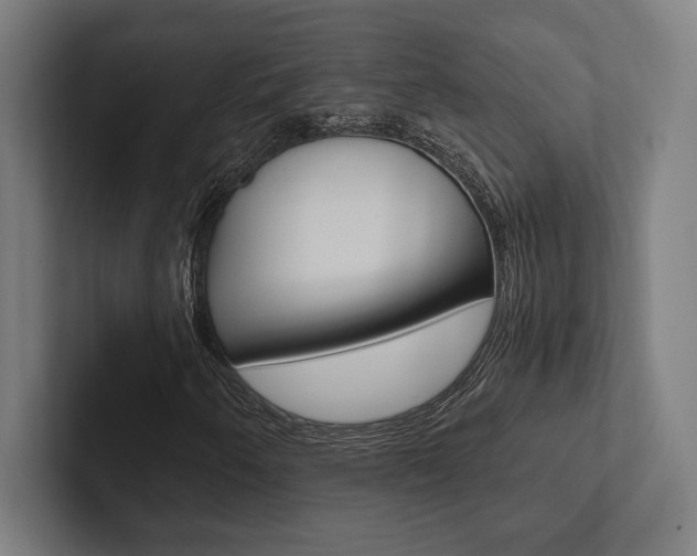 X0000102861250200808181018