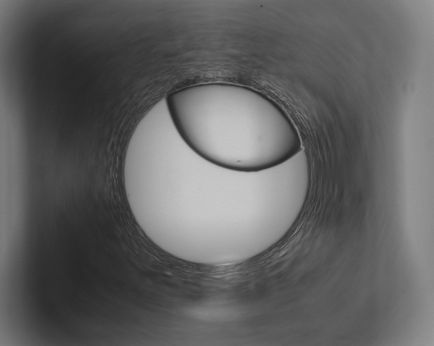 X0000102861251200808181018