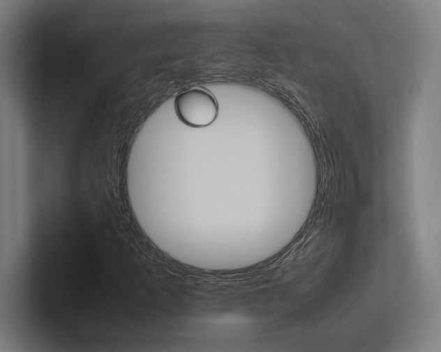X0000102861253200808181018