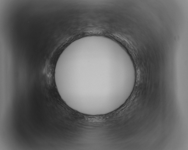 X0000102861254200808181018
