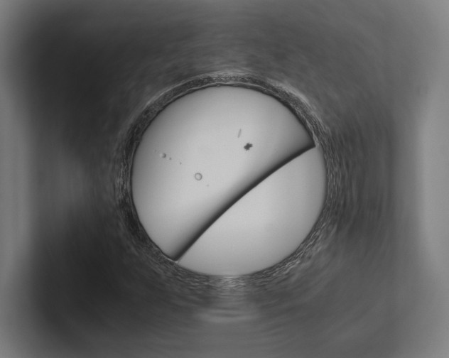 X0000102861255200808181018