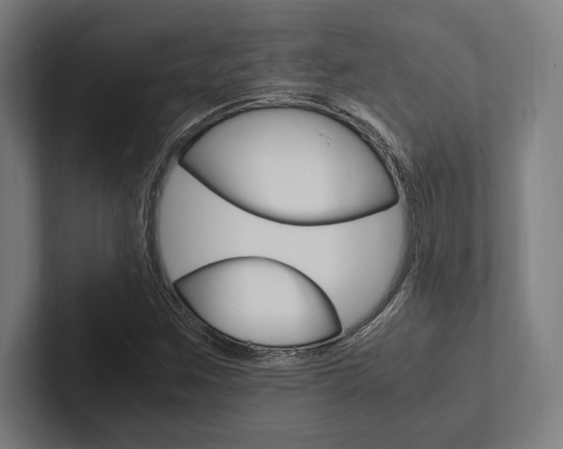 X0000102861259200808181018