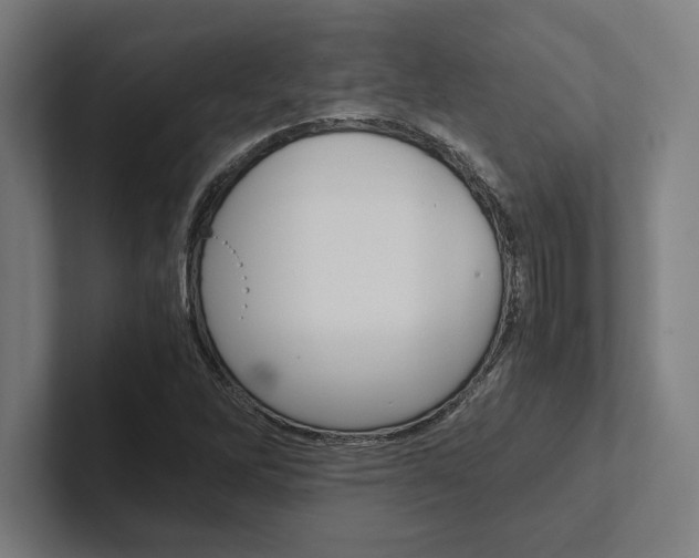 X0000102861262200808181018