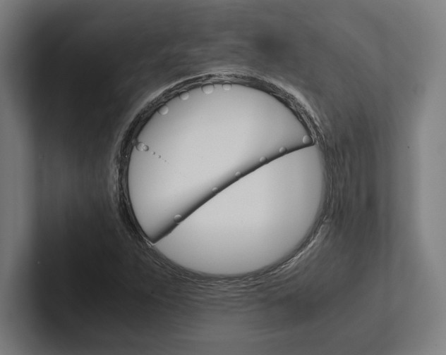 X0000102861263200808181018