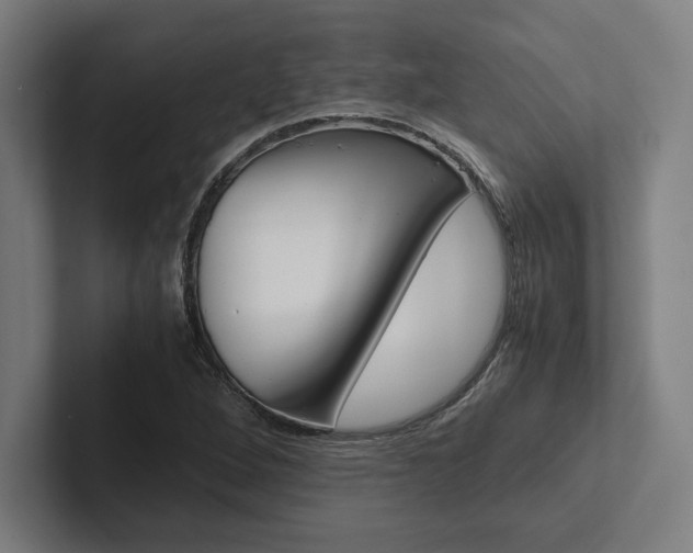 X0000102861264200808181018