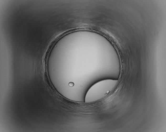 X0000102861267200808181018