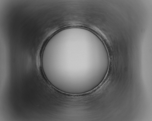 X0000102861269200808181018