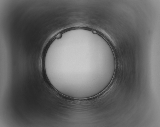 X0000102861270200808181018