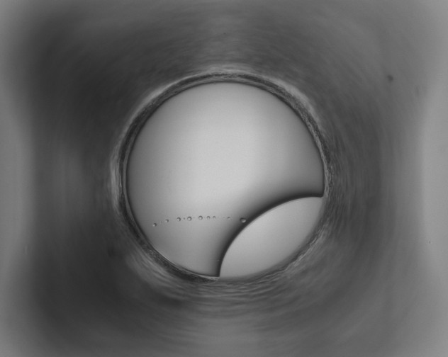 X0000102861271200808181018