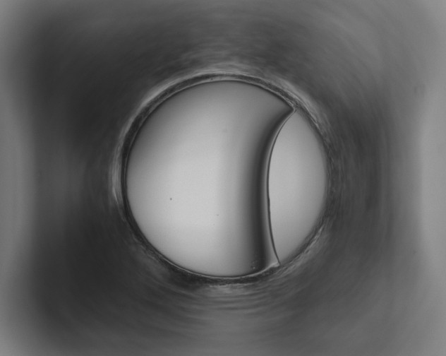 X0000102861272200808181018