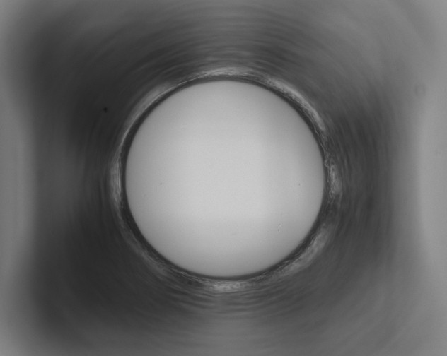 X0000102861274200808181018