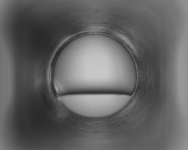 X0000102861275200808181018