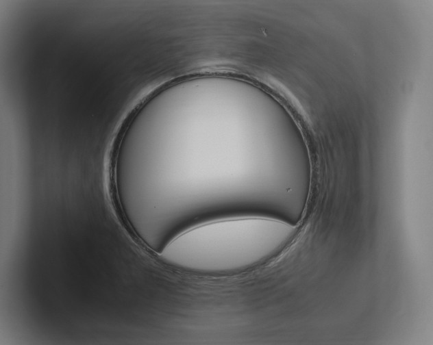 X0000102861277200808181018