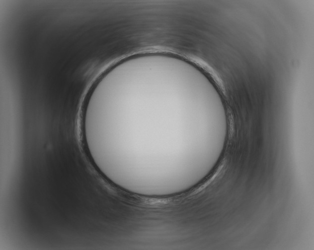 X0000102861278200808181018