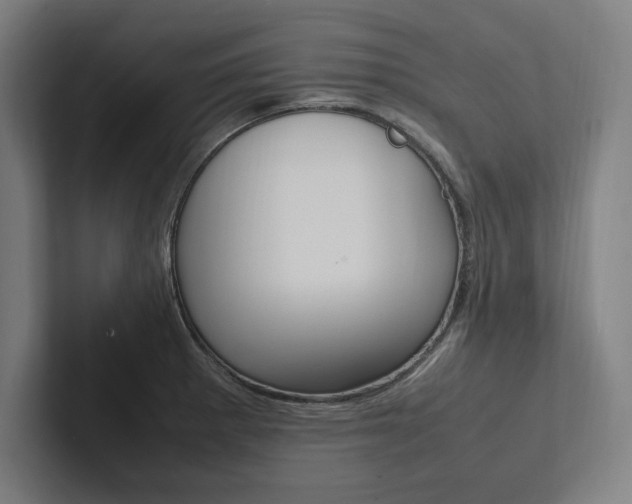 X0000102861281200808181018