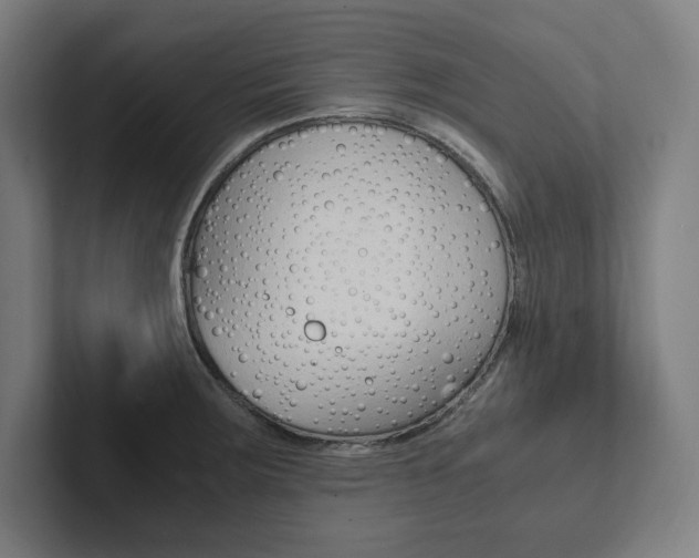 X0000102861283200808181018