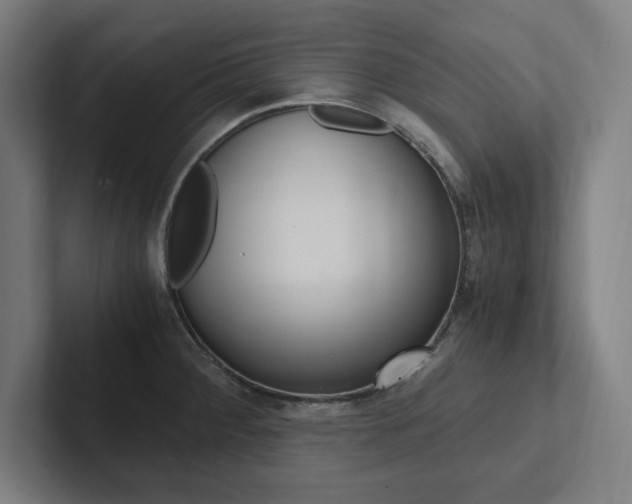 X0000102861284200808181018