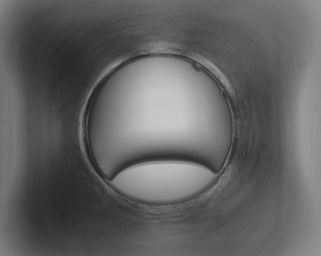 X0000102861285200808181018