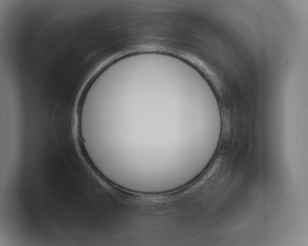 X0000102861286200808181018