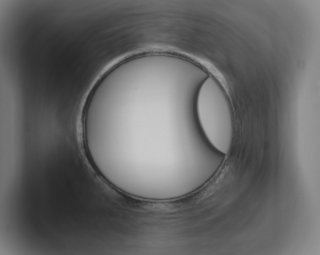 X0000102861287200808181018