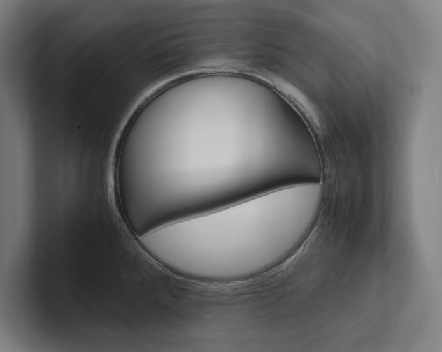 X0000102861288200808181018