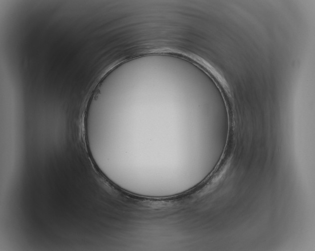 X0000102861289200808181018