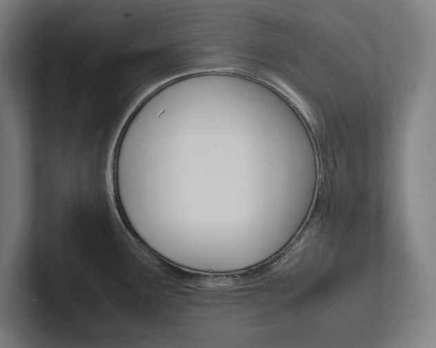 X0000102861291200808181018