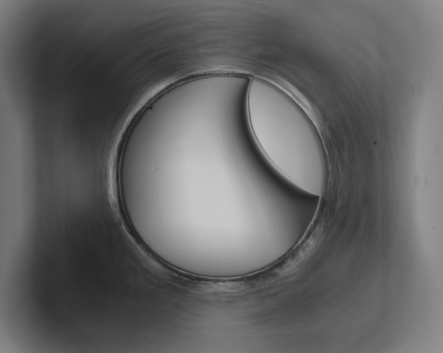 X0000102861293200808181018