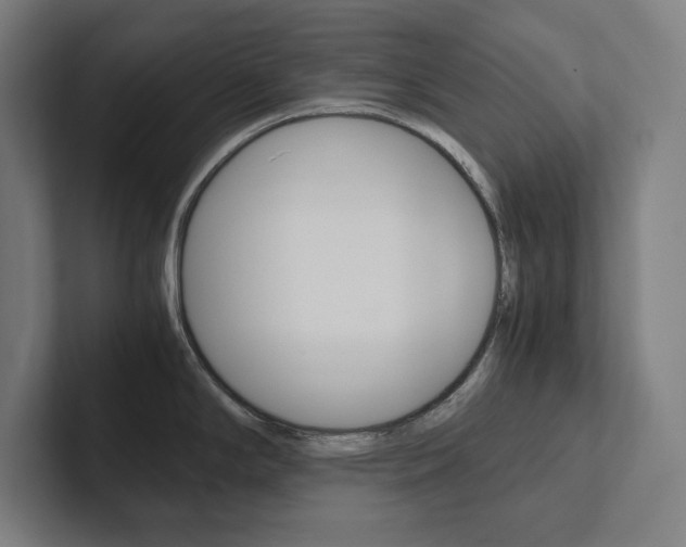 X0000102861294200808181018