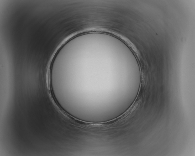 X0000102861295200808181018