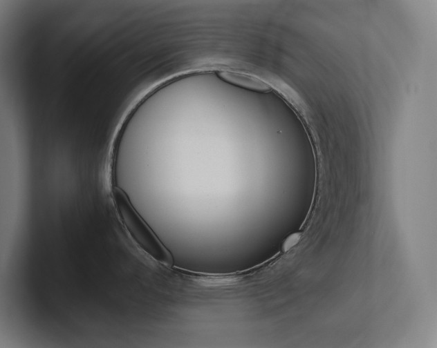 X0000102861296200808181017
