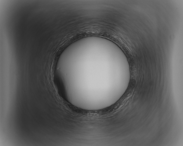 X0000102861297200808181017