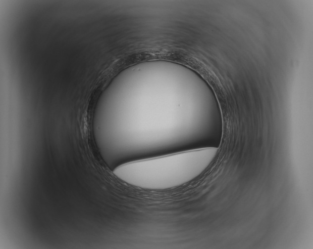 X0000102861298200808181017