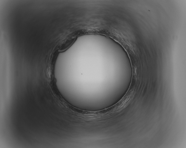 X0000102861300200808181017