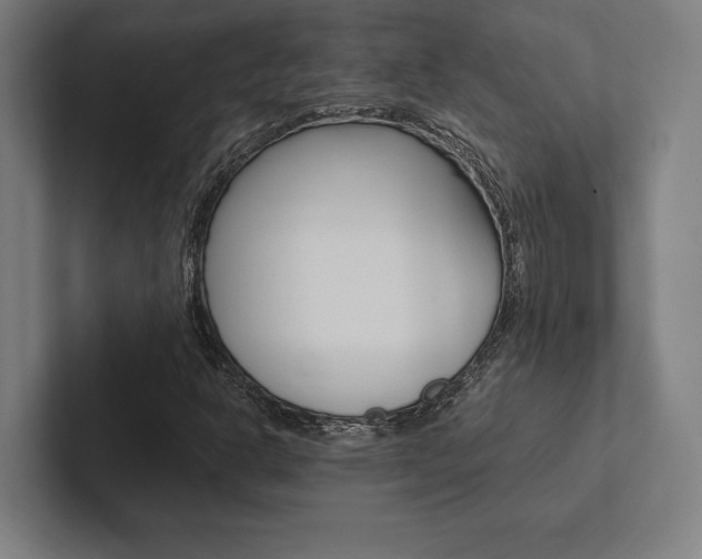 X0000102861302200808181017