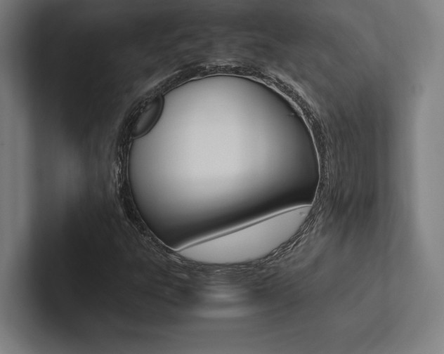 X0000102861303200808181017