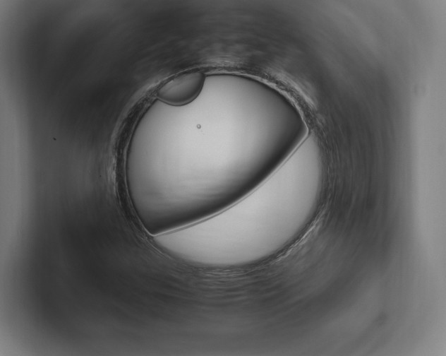 X0000102861307200808181017