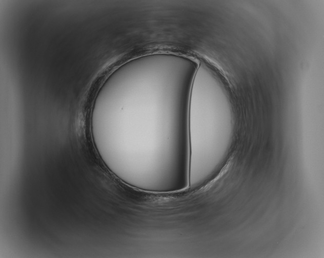 X0000102861309200808181017