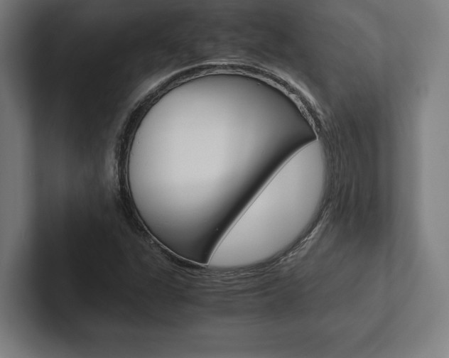 X0000102861311200808181017
