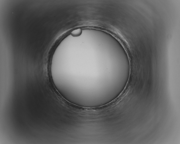 X0000102861312200808181017