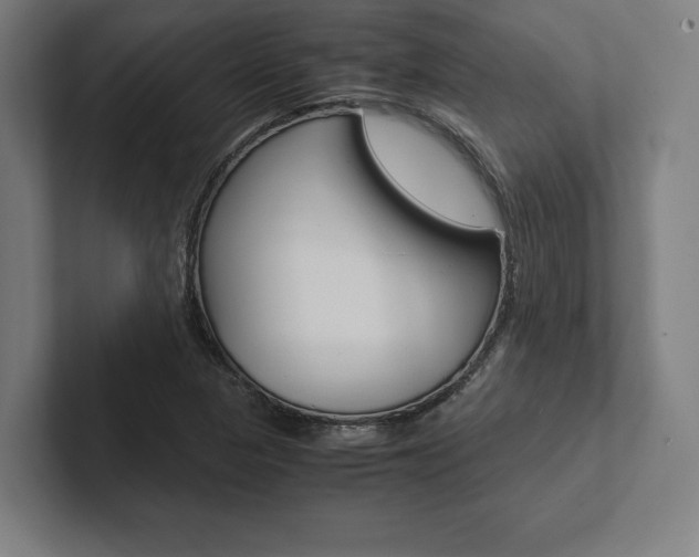 X0000102861313200808181017