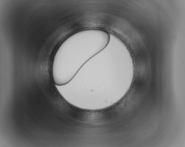 X0000102861314200808181017